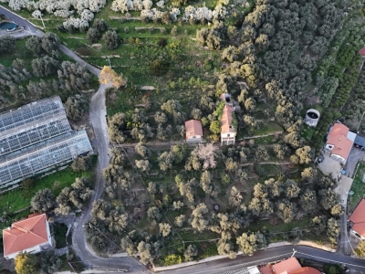 immagine annuncio 2 di 8