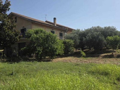 immagine annuncio 7 di 9