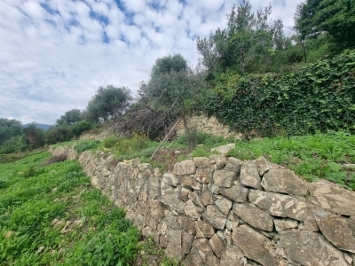 immagine annuncio 3 di 9