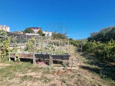 immagine annuncio 8 di 9
