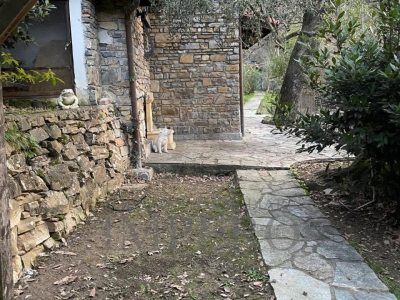 immagine annuncio 4 di 9