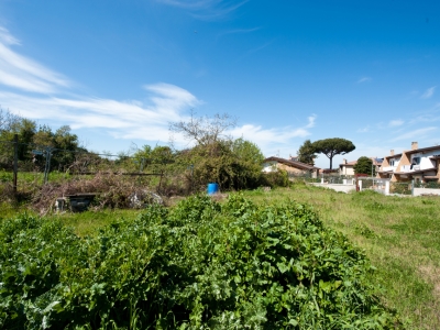 immagine annuncio 4 di 8