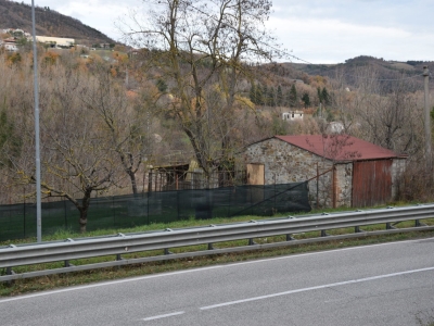 immagine annuncio 6 di 7