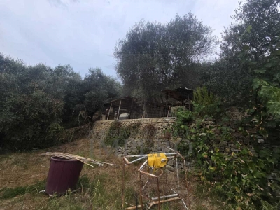 immagine annuncio 2 di 9
