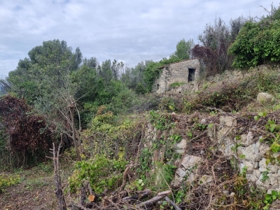 immagine annuncio 4 di 9