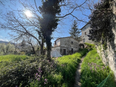 immagine annuncio 1 di 9