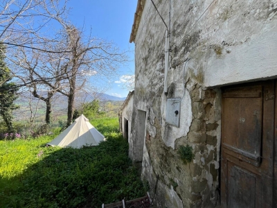 immagine annuncio 5 di 9