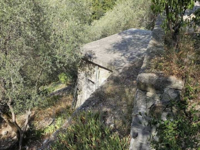 immagine annuncio 2 di 9
