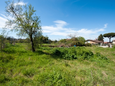 immagine annuncio 5 di 8