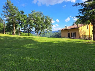 immagine annuncio 4 di 9