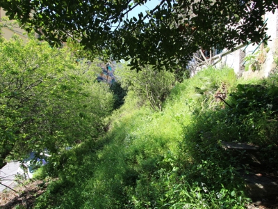 immagine annuncio 5 di 7