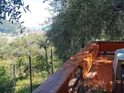 immagine annuncio 2 di 9