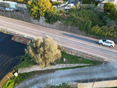 immagine annuncio 5 di 8