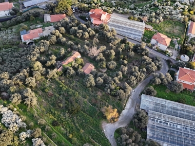 immagine annuncio 4 di 8
