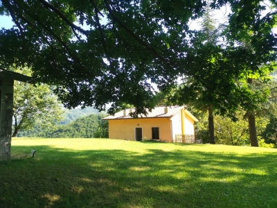 immagine annuncio 3 di 9