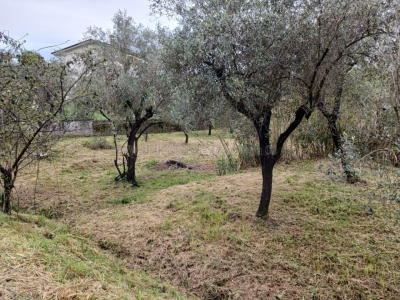 immagine annuncio 5 di 9