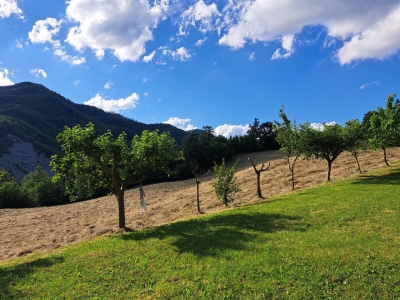 immagine annuncio 2 di 9