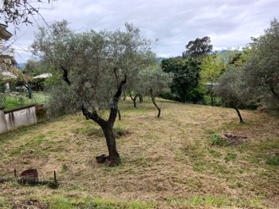 immagine annuncio 7 di 9