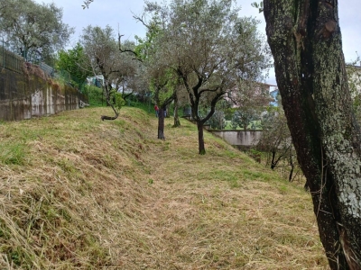 immagine annuncio 4 di 9