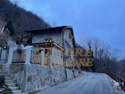 immagine annuncio 2 di 9