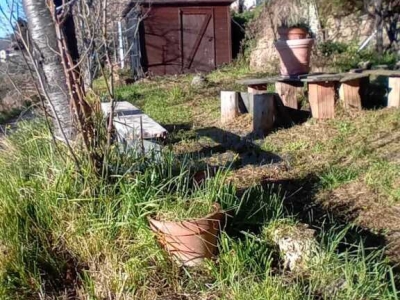 immagine annuncio 1 di 9