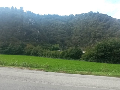 immagine annuncio 5 di 9