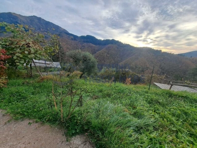 immagine annuncio 4 di 9