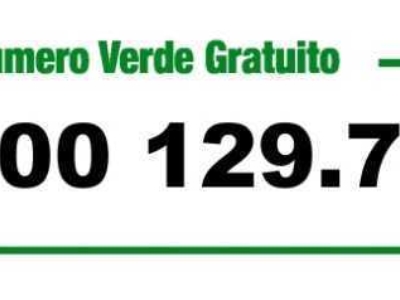 immagine annuncio 8 di 9