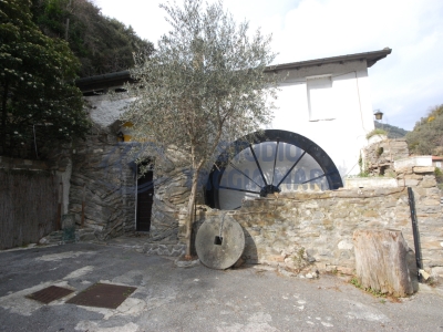 immagine annuncio 3 di 9