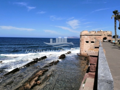 immagine annuncio 7 di 9