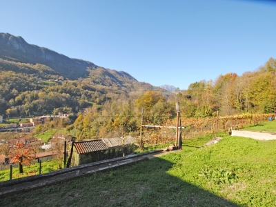 immagine annuncio 4 di 9
