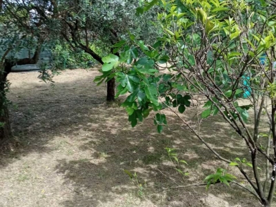 immagine annuncio 6 di 9