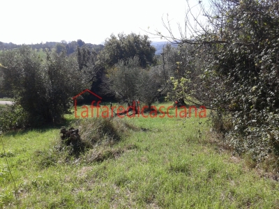 immagine annuncio 7 di 9