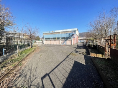 immagine annuncio 3 di 9