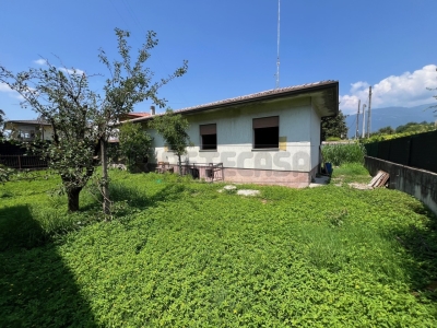 immagine annuncio 5 di 7