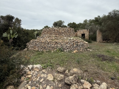 immagine annuncio 3 di 9