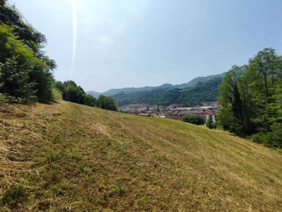 immagine annuncio 4 di 9