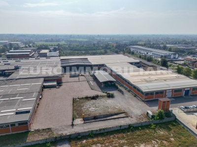 immagine annuncio 2 di 9