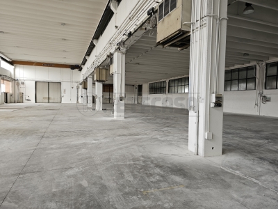 immagine annuncio 4 di 9