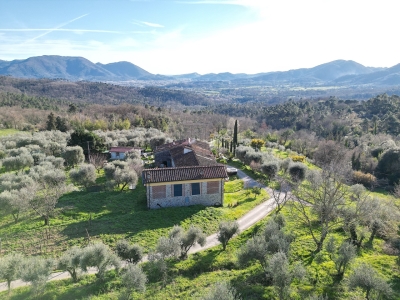 immagine annuncio 6 di 9