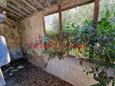 immagine annuncio 5 di 9