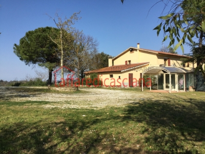 immagine annuncio 3 di 9