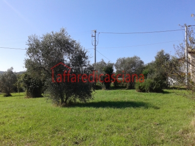 immagine annuncio 2 di 9