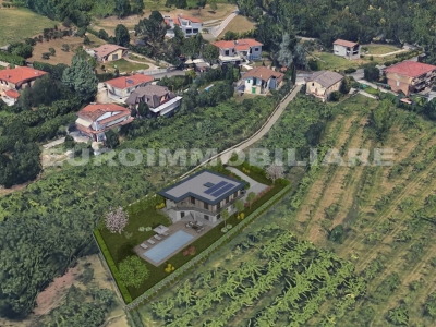 immagine annuncio 4 di 9