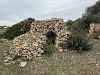 immagine annuncio 4 di 9