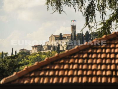 immagine annuncio 2 di 9