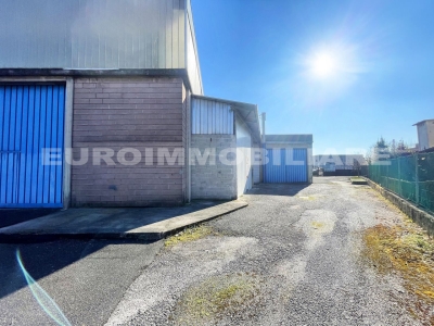 immagine annuncio 5 di 9