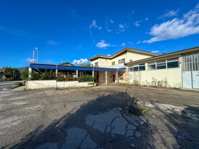 immagine annuncio 2 di 9