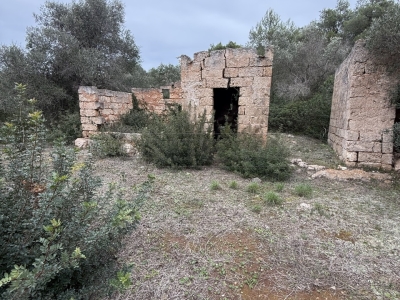 immagine annuncio 6 di 9