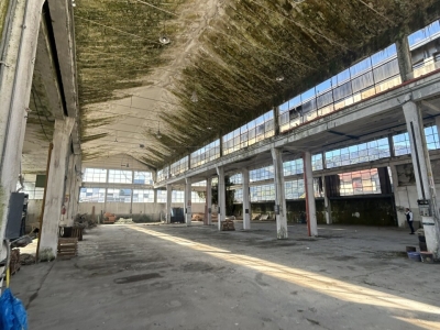 immagine annuncio 2 di 9